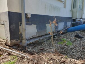 20230710 110738 scaled