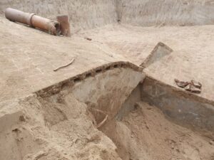 whatsapp image 2022 11 08 at 11.26.21 am 2