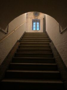 whatsapp image 2022 11 08 at 11.29.25 am