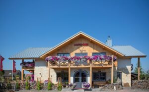 project horeca het leeuwtje 05 scaled